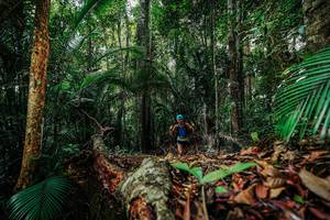 BIB: 
                            <button type="button" onclick="openModal(26422006)" class="btn btn-primary btn-sm float-right btn-popup" data-toggle="modal" data-target=".modal-high-quality">
                        <i class="fas fa-shopping-cart"></i> Add to Cart
                    </button>
                                            <button type="button" onclick="isThisMe(26422006, true)" class="btn btn-success btn-sm float-right btn-popup btn-isme hidden" data-toggle="tooltip" data-placement="bottom" title="นี่คือรูปของคุณใช่ไหม คลิกที่นี่เพื่อเอาเข้าอัลบั้ม">
                        <i class="fas fa-plus"></i> Add to album
                    </button>
                    <button type="button" onclick="isThisMe(26422006, false)" class="btn btn-warning btn-sm float-right btn-popup btn-isnotme hidden">
                        <i class="fas fa-ban"></i> Remove from album
                    </button>