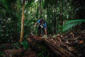 BIB: 
                            <button type="button" onclick="openModal(26426504)" class="btn btn-primary btn-sm float-right btn-popup" data-toggle="modal" data-target=".modal-high-quality">
                        <i class="fas fa-shopping-cart"></i> Add to Cart
                    </button>
                                            <button type="button" onclick="isThisMe(26426504, true)" class="btn btn-success btn-sm float-right btn-popup btn-isme hidden" data-toggle="tooltip" data-placement="bottom" title="นี่คือรูปของคุณใช่ไหม คลิกที่นี่เพื่อเอาเข้าอัลบั้ม">
                        <i class="fas fa-plus"></i> Add to album
                    </button>
                    <button type="button" onclick="isThisMe(26426504, false)" class="btn btn-warning btn-sm float-right btn-popup btn-isnotme hidden">
                        <i class="fas fa-ban"></i> Remove from album
                    </button>