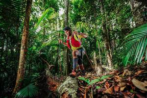 BIB: 
                            <button type="button" onclick="openModal(26421515)" class="btn btn-primary btn-sm float-right btn-popup" data-toggle="modal" data-target=".modal-high-quality">
                        <i class="fas fa-shopping-cart"></i> Add to Cart
                    </button>
                                            <button type="button" onclick="isThisMe(26421515, true)" class="btn btn-success btn-sm float-right btn-popup btn-isme hidden" data-toggle="tooltip" data-placement="bottom" title="นี่คือรูปของคุณใช่ไหม คลิกที่นี่เพื่อเอาเข้าอัลบั้ม">
                        <i class="fas fa-plus"></i> Add to album
                    </button>
                    <button type="button" onclick="isThisMe(26421515, false)" class="btn btn-warning btn-sm float-right btn-popup btn-isnotme hidden">
                        <i class="fas fa-ban"></i> Remove from album
                    </button>