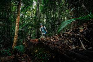 BIB: 
                            <button type="button" onclick="openModal(26423521)" class="btn btn-primary btn-sm float-right btn-popup" data-toggle="modal" data-target=".modal-high-quality">
                        <i class="fas fa-shopping-cart"></i> Add to Cart
                    </button>
                                            <button type="button" onclick="isThisMe(26423521, true)" class="btn btn-success btn-sm float-right btn-popup btn-isme hidden" data-toggle="tooltip" data-placement="bottom" title="นี่คือรูปของคุณใช่ไหม คลิกที่นี่เพื่อเอาเข้าอัลบั้ม">
                        <i class="fas fa-plus"></i> Add to album
                    </button>
                    <button type="button" onclick="isThisMe(26423521, false)" class="btn btn-warning btn-sm float-right btn-popup btn-isnotme hidden">
                        <i class="fas fa-ban"></i> Remove from album
                    </button>