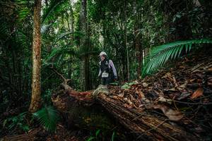 BIB: 
                            <button type="button" onclick="openModal(26426570)" class="btn btn-primary btn-sm float-right btn-popup" data-toggle="modal" data-target=".modal-high-quality">
                        <i class="fas fa-shopping-cart"></i> Add to Cart
                    </button>
                                            <button type="button" onclick="isThisMe(26426570, true)" class="btn btn-success btn-sm float-right btn-popup btn-isme hidden" data-toggle="tooltip" data-placement="bottom" title="นี่คือรูปของคุณใช่ไหม คลิกที่นี่เพื่อเอาเข้าอัลบั้ม">
                        <i class="fas fa-plus"></i> Add to album
                    </button>
                    <button type="button" onclick="isThisMe(26426570, false)" class="btn btn-warning btn-sm float-right btn-popup btn-isnotme hidden">
                        <i class="fas fa-ban"></i> Remove from album
                    </button>