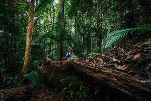 BIB: 
                            <button type="button" onclick="openModal(26425951)" class="btn btn-primary btn-sm float-right btn-popup" data-toggle="modal" data-target=".modal-high-quality">
                        <i class="fas fa-shopping-cart"></i> Add to Cart
                    </button>
                                            <button type="button" onclick="isThisMe(26425951, true)" class="btn btn-success btn-sm float-right btn-popup btn-isme hidden" data-toggle="tooltip" data-placement="bottom" title="นี่คือรูปของคุณใช่ไหม คลิกที่นี่เพื่อเอาเข้าอัลบั้ม">
                        <i class="fas fa-plus"></i> Add to album
                    </button>
                    <button type="button" onclick="isThisMe(26425951, false)" class="btn btn-warning btn-sm float-right btn-popup btn-isnotme hidden">
                        <i class="fas fa-ban"></i> Remove from album
                    </button>