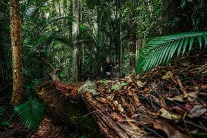 BIB: 
                            <button type="button" onclick="openModal(26426615)" class="btn btn-primary btn-sm float-right btn-popup" data-toggle="modal" data-target=".modal-high-quality">
                        <i class="fas fa-shopping-cart"></i> Add to Cart
                    </button>
                                            <button type="button" onclick="isThisMe(26426615, true)" class="btn btn-success btn-sm float-right btn-popup btn-isme hidden" data-toggle="tooltip" data-placement="bottom" title="นี่คือรูปของคุณใช่ไหม คลิกที่นี่เพื่อเอาเข้าอัลบั้ม">
                        <i class="fas fa-plus"></i> Add to album
                    </button>
                    <button type="button" onclick="isThisMe(26426615, false)" class="btn btn-warning btn-sm float-right btn-popup btn-isnotme hidden">
                        <i class="fas fa-ban"></i> Remove from album
                    </button>