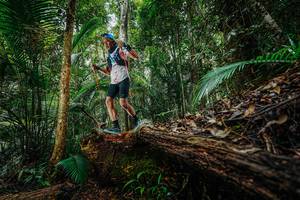 BIB: 
                            <button type="button" onclick="openModal(26425307)" class="btn btn-primary btn-sm float-right btn-popup" data-toggle="modal" data-target=".modal-high-quality">
                        <i class="fas fa-shopping-cart"></i> Add to Cart
                    </button>
                                            <button type="button" onclick="isThisMe(26425307, true)" class="btn btn-success btn-sm float-right btn-popup btn-isme hidden" data-toggle="tooltip" data-placement="bottom" title="นี่คือรูปของคุณใช่ไหม คลิกที่นี่เพื่อเอาเข้าอัลบั้ม">
                        <i class="fas fa-plus"></i> Add to album
                    </button>
                    <button type="button" onclick="isThisMe(26425307, false)" class="btn btn-warning btn-sm float-right btn-popup btn-isnotme hidden">
                        <i class="fas fa-ban"></i> Remove from album
                    </button>