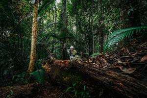 BIB: 
                            <button type="button" onclick="openModal(26426141)" class="btn btn-primary btn-sm float-right btn-popup" data-toggle="modal" data-target=".modal-high-quality">
                        <i class="fas fa-shopping-cart"></i> Add to Cart
                    </button>
                                            <button type="button" onclick="isThisMe(26426141, true)" class="btn btn-success btn-sm float-right btn-popup btn-isme hidden" data-toggle="tooltip" data-placement="bottom" title="นี่คือรูปของคุณใช่ไหม คลิกที่นี่เพื่อเอาเข้าอัลบั้ม">
                        <i class="fas fa-plus"></i> Add to album
                    </button>
                    <button type="button" onclick="isThisMe(26426141, false)" class="btn btn-warning btn-sm float-right btn-popup btn-isnotme hidden">
                        <i class="fas fa-ban"></i> Remove from album
                    </button>