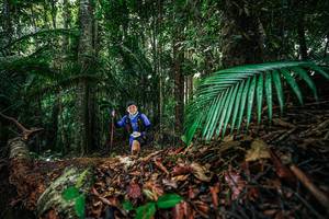 BIB: 
                            <button type="button" onclick="openModal(26430088)" class="btn btn-primary btn-sm float-right btn-popup" data-toggle="modal" data-target=".modal-high-quality">
                        <i class="fas fa-shopping-cart"></i> Add to Cart
                    </button>
                                            <button type="button" onclick="isThisMe(26430088, true)" class="btn btn-success btn-sm float-right btn-popup btn-isme hidden" data-toggle="tooltip" data-placement="bottom" title="นี่คือรูปของคุณใช่ไหม คลิกที่นี่เพื่อเอาเข้าอัลบั้ม">
                        <i class="fas fa-plus"></i> Add to album
                    </button>
                    <button type="button" onclick="isThisMe(26430088, false)" class="btn btn-warning btn-sm float-right btn-popup btn-isnotme hidden">
                        <i class="fas fa-ban"></i> Remove from album
                    </button>