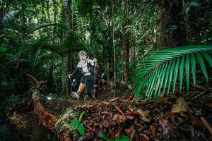 BIB: 
                            <button type="button" onclick="openModal(26427634)" class="btn btn-primary btn-sm float-right btn-popup" data-toggle="modal" data-target=".modal-high-quality">
                        <i class="fas fa-shopping-cart"></i> Add to Cart
                    </button>
                                            <button type="button" onclick="isThisMe(26427634, true)" class="btn btn-success btn-sm float-right btn-popup btn-isme hidden" data-toggle="tooltip" data-placement="bottom" title="นี่คือรูปของคุณใช่ไหม คลิกที่นี่เพื่อเอาเข้าอัลบั้ม">
                        <i class="fas fa-plus"></i> Add to album
                    </button>
                    <button type="button" onclick="isThisMe(26427634, false)" class="btn btn-warning btn-sm float-right btn-popup btn-isnotme hidden">
                        <i class="fas fa-ban"></i> Remove from album
                    </button>