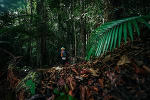 BIB: 
                            <button type="button" onclick="openModal(26429505)" class="btn btn-primary btn-sm float-right btn-popup" data-toggle="modal" data-target=".modal-high-quality">
                        <i class="fas fa-shopping-cart"></i> Add to Cart
                    </button>
                                            <button type="button" onclick="isThisMe(26429505, true)" class="btn btn-success btn-sm float-right btn-popup btn-isme hidden" data-toggle="tooltip" data-placement="bottom" title="นี่คือรูปของคุณใช่ไหม คลิกที่นี่เพื่อเอาเข้าอัลบั้ม">
                        <i class="fas fa-plus"></i> Add to album
                    </button>
                    <button type="button" onclick="isThisMe(26429505, false)" class="btn btn-warning btn-sm float-right btn-popup btn-isnotme hidden">
                        <i class="fas fa-ban"></i> Remove from album
                    </button>