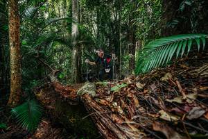 BIB: 
                            <button type="button" onclick="openModal(26426618)" class="btn btn-primary btn-sm float-right btn-popup" data-toggle="modal" data-target=".modal-high-quality">
                        <i class="fas fa-shopping-cart"></i> Add to Cart
                    </button>
                                            <button type="button" onclick="isThisMe(26426618, true)" class="btn btn-success btn-sm float-right btn-popup btn-isme hidden" data-toggle="tooltip" data-placement="bottom" title="นี่คือรูปของคุณใช่ไหม คลิกที่นี่เพื่อเอาเข้าอัลบั้ม">
                        <i class="fas fa-plus"></i> Add to album
                    </button>
                    <button type="button" onclick="isThisMe(26426618, false)" class="btn btn-warning btn-sm float-right btn-popup btn-isnotme hidden">
                        <i class="fas fa-ban"></i> Remove from album
                    </button>