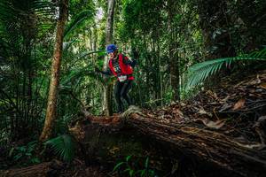 BIB: 
                            <button type="button" onclick="openModal(26425825)" class="btn btn-primary btn-sm float-right btn-popup" data-toggle="modal" data-target=".modal-high-quality">
                        <i class="fas fa-shopping-cart"></i> Add to Cart
                    </button>
                                            <button type="button" onclick="isThisMe(26425825, true)" class="btn btn-success btn-sm float-right btn-popup btn-isme hidden" data-toggle="tooltip" data-placement="bottom" title="นี่คือรูปของคุณใช่ไหม คลิกที่นี่เพื่อเอาเข้าอัลบั้ม">
                        <i class="fas fa-plus"></i> Add to album
                    </button>
                    <button type="button" onclick="isThisMe(26425825, false)" class="btn btn-warning btn-sm float-right btn-popup btn-isnotme hidden">
                        <i class="fas fa-ban"></i> Remove from album
                    </button>