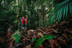 BIB: 
                            <button type="button" onclick="openModal(26431355)" class="btn btn-primary btn-sm float-right btn-popup" data-toggle="modal" data-target=".modal-high-quality">
                        <i class="fas fa-shopping-cart"></i> Add to Cart
                    </button>
                                            <button type="button" onclick="isThisMe(26431355, true)" class="btn btn-success btn-sm float-right btn-popup btn-isme hidden" data-toggle="tooltip" data-placement="bottom" title="นี่คือรูปของคุณใช่ไหม คลิกที่นี่เพื่อเอาเข้าอัลบั้ม">
                        <i class="fas fa-plus"></i> Add to album
                    </button>
                    <button type="button" onclick="isThisMe(26431355, false)" class="btn btn-warning btn-sm float-right btn-popup btn-isnotme hidden">
                        <i class="fas fa-ban"></i> Remove from album
                    </button>