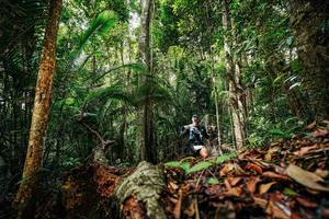 BIB: 
                            <button type="button" onclick="openModal(26420906)" class="btn btn-primary btn-sm float-right btn-popup" data-toggle="modal" data-target=".modal-high-quality">
                        <i class="fas fa-shopping-cart"></i> Add to Cart
                    </button>
                                            <button type="button" onclick="isThisMe(26420906, true)" class="btn btn-success btn-sm float-right btn-popup btn-isme hidden" data-toggle="tooltip" data-placement="bottom" title="นี่คือรูปของคุณใช่ไหม คลิกที่นี่เพื่อเอาเข้าอัลบั้ม">
                        <i class="fas fa-plus"></i> Add to album
                    </button>
                    <button type="button" onclick="isThisMe(26420906, false)" class="btn btn-warning btn-sm float-right btn-popup btn-isnotme hidden">
                        <i class="fas fa-ban"></i> Remove from album
                    </button>