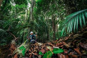 BIB: 
                            <button type="button" onclick="openModal(26430211)" class="btn btn-primary btn-sm float-right btn-popup" data-toggle="modal" data-target=".modal-high-quality">
                        <i class="fas fa-shopping-cart"></i> Add to Cart
                    </button>
                                            <button type="button" onclick="isThisMe(26430211, true)" class="btn btn-success btn-sm float-right btn-popup btn-isme hidden" data-toggle="tooltip" data-placement="bottom" title="นี่คือรูปของคุณใช่ไหม คลิกที่นี่เพื่อเอาเข้าอัลบั้ม">
                        <i class="fas fa-plus"></i> Add to album
                    </button>
                    <button type="button" onclick="isThisMe(26430211, false)" class="btn btn-warning btn-sm float-right btn-popup btn-isnotme hidden">
                        <i class="fas fa-ban"></i> Remove from album
                    </button>