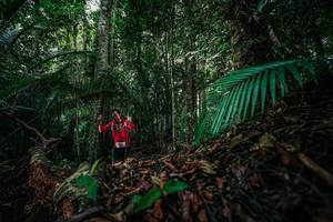 BIB: 
                            <button type="button" onclick="openModal(26431649)" class="btn btn-primary btn-sm float-right btn-popup" data-toggle="modal" data-target=".modal-high-quality">
                        <i class="fas fa-shopping-cart"></i> Add to Cart
                    </button>
                                            <button type="button" onclick="isThisMe(26431649, true)" class="btn btn-success btn-sm float-right btn-popup btn-isme hidden" data-toggle="tooltip" data-placement="bottom" title="นี่คือรูปของคุณใช่ไหม คลิกที่นี่เพื่อเอาเข้าอัลบั้ม">
                        <i class="fas fa-plus"></i> Add to album
                    </button>
                    <button type="button" onclick="isThisMe(26431649, false)" class="btn btn-warning btn-sm float-right btn-popup btn-isnotme hidden">
                        <i class="fas fa-ban"></i> Remove from album
                    </button>