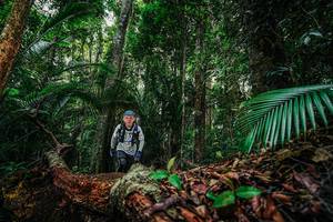 BIB: 
                            <button type="button" onclick="openModal(26427567)" class="btn btn-primary btn-sm float-right btn-popup" data-toggle="modal" data-target=".modal-high-quality">
                        <i class="fas fa-shopping-cart"></i> Add to Cart
                    </button>
                                            <button type="button" onclick="isThisMe(26427567, true)" class="btn btn-success btn-sm float-right btn-popup btn-isme hidden" data-toggle="tooltip" data-placement="bottom" title="นี่คือรูปของคุณใช่ไหม คลิกที่นี่เพื่อเอาเข้าอัลบั้ม">
                        <i class="fas fa-plus"></i> Add to album
                    </button>
                    <button type="button" onclick="isThisMe(26427567, false)" class="btn btn-warning btn-sm float-right btn-popup btn-isnotme hidden">
                        <i class="fas fa-ban"></i> Remove from album
                    </button>