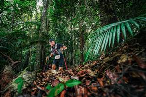 BIB: 
                            <button type="button" onclick="openModal(26430141)" class="btn btn-primary btn-sm float-right btn-popup" data-toggle="modal" data-target=".modal-high-quality">
                        <i class="fas fa-shopping-cart"></i> Add to Cart
                    </button>
                                            <button type="button" onclick="isThisMe(26430141, true)" class="btn btn-success btn-sm float-right btn-popup btn-isme hidden" data-toggle="tooltip" data-placement="bottom" title="นี่คือรูปของคุณใช่ไหม คลิกที่นี่เพื่อเอาเข้าอัลบั้ม">
                        <i class="fas fa-plus"></i> Add to album
                    </button>
                    <button type="button" onclick="isThisMe(26430141, false)" class="btn btn-warning btn-sm float-right btn-popup btn-isnotme hidden">
                        <i class="fas fa-ban"></i> Remove from album
                    </button>