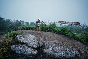 BIB: 
                            <button type="button" onclick="openModal(26416900)" class="btn btn-primary btn-sm float-right btn-popup" data-toggle="modal" data-target=".modal-high-quality">
                        <i class="fas fa-shopping-cart"></i> Add to Cart
                    </button>
                                            <button type="button" onclick="isThisMe(26416900, true)" class="btn btn-success btn-sm float-right btn-popup btn-isme hidden" data-toggle="tooltip" data-placement="bottom" title="นี่คือรูปของคุณใช่ไหม คลิกที่นี่เพื่อเอาเข้าอัลบั้ม">
                        <i class="fas fa-plus"></i> Add to album
                    </button>
                    <button type="button" onclick="isThisMe(26416900, false)" class="btn btn-warning btn-sm float-right btn-popup btn-isnotme hidden">
                        <i class="fas fa-ban"></i> Remove from album
                    </button>