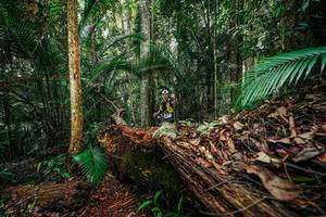 BIB: 
                            <button type="button" onclick="openModal(26426408)" class="btn btn-primary btn-sm float-right btn-popup" data-toggle="modal" data-target=".modal-high-quality">
                        <i class="fas fa-shopping-cart"></i> Add to Cart
                    </button>
                                            <button type="button" onclick="isThisMe(26426408, true)" class="btn btn-success btn-sm float-right btn-popup btn-isme hidden" data-toggle="tooltip" data-placement="bottom" title="นี่คือรูปของคุณใช่ไหม คลิกที่นี่เพื่อเอาเข้าอัลบั้ม">
                        <i class="fas fa-plus"></i> Add to album
                    </button>
                    <button type="button" onclick="isThisMe(26426408, false)" class="btn btn-warning btn-sm float-right btn-popup btn-isnotme hidden">
                        <i class="fas fa-ban"></i> Remove from album
                    </button>