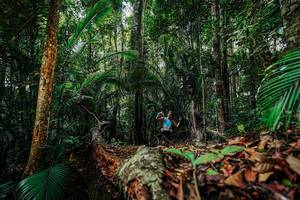 BIB: 
                            <button type="button" onclick="openModal(26421932)" class="btn btn-primary btn-sm float-right btn-popup" data-toggle="modal" data-target=".modal-high-quality">
                        <i class="fas fa-shopping-cart"></i> Add to Cart
                    </button>
                                            <button type="button" onclick="isThisMe(26421932, true)" class="btn btn-success btn-sm float-right btn-popup btn-isme hidden" data-toggle="tooltip" data-placement="bottom" title="นี่คือรูปของคุณใช่ไหม คลิกที่นี่เพื่อเอาเข้าอัลบั้ม">
                        <i class="fas fa-plus"></i> Add to album
                    </button>
                    <button type="button" onclick="isThisMe(26421932, false)" class="btn btn-warning btn-sm float-right btn-popup btn-isnotme hidden">
                        <i class="fas fa-ban"></i> Remove from album
                    </button>