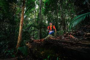 BIB: 
                            <button type="button" onclick="openModal(26424635)" class="btn btn-primary btn-sm float-right btn-popup" data-toggle="modal" data-target=".modal-high-quality">
                        <i class="fas fa-shopping-cart"></i> Add to Cart
                    </button>
                                            <button type="button" onclick="isThisMe(26424635, true)" class="btn btn-success btn-sm float-right btn-popup btn-isme hidden" data-toggle="tooltip" data-placement="bottom" title="นี่คือรูปของคุณใช่ไหม คลิกที่นี่เพื่อเอาเข้าอัลบั้ม">
                        <i class="fas fa-plus"></i> Add to album
                    </button>
                    <button type="button" onclick="isThisMe(26424635, false)" class="btn btn-warning btn-sm float-right btn-popup btn-isnotme hidden">
                        <i class="fas fa-ban"></i> Remove from album
                    </button>