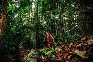 BIB: 
                            <button type="button" onclick="openModal(26420739)" class="btn btn-primary btn-sm float-right btn-popup" data-toggle="modal" data-target=".modal-high-quality">
                        <i class="fas fa-shopping-cart"></i> Add to Cart
                    </button>
                                            <button type="button" onclick="isThisMe(26420739, true)" class="btn btn-success btn-sm float-right btn-popup btn-isme hidden" data-toggle="tooltip" data-placement="bottom" title="นี่คือรูปของคุณใช่ไหม คลิกที่นี่เพื่อเอาเข้าอัลบั้ม">
                        <i class="fas fa-plus"></i> Add to album
                    </button>
                    <button type="button" onclick="isThisMe(26420739, false)" class="btn btn-warning btn-sm float-right btn-popup btn-isnotme hidden">
                        <i class="fas fa-ban"></i> Remove from album
                    </button>