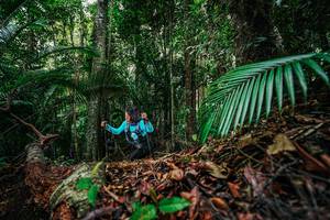 BIB: 
                            <button type="button" onclick="openModal(26427446)" class="btn btn-primary btn-sm float-right btn-popup" data-toggle="modal" data-target=".modal-high-quality">
                        <i class="fas fa-shopping-cart"></i> Add to Cart
                    </button>
                                            <button type="button" onclick="isThisMe(26427446, true)" class="btn btn-success btn-sm float-right btn-popup btn-isme hidden" data-toggle="tooltip" data-placement="bottom" title="นี่คือรูปของคุณใช่ไหม คลิกที่นี่เพื่อเอาเข้าอัลบั้ม">
                        <i class="fas fa-plus"></i> Add to album
                    </button>
                    <button type="button" onclick="isThisMe(26427446, false)" class="btn btn-warning btn-sm float-right btn-popup btn-isnotme hidden">
                        <i class="fas fa-ban"></i> Remove from album
                    </button>