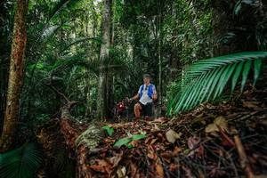 BIB: 
                            <button type="button" onclick="openModal(26426717)" class="btn btn-primary btn-sm float-right btn-popup" data-toggle="modal" data-target=".modal-high-quality">
                        <i class="fas fa-shopping-cart"></i> Add to Cart
                    </button>
                                            <button type="button" onclick="isThisMe(26426717, true)" class="btn btn-success btn-sm float-right btn-popup btn-isme hidden" data-toggle="tooltip" data-placement="bottom" title="นี่คือรูปของคุณใช่ไหม คลิกที่นี่เพื่อเอาเข้าอัลบั้ม">
                        <i class="fas fa-plus"></i> Add to album
                    </button>
                    <button type="button" onclick="isThisMe(26426717, false)" class="btn btn-warning btn-sm float-right btn-popup btn-isnotme hidden">
                        <i class="fas fa-ban"></i> Remove from album
                    </button>