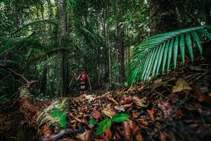 BIB: 
                            <button type="button" onclick="openModal(26430007)" class="btn btn-primary btn-sm float-right btn-popup" data-toggle="modal" data-target=".modal-high-quality">
                        <i class="fas fa-shopping-cart"></i> Add to Cart
                    </button>
                                            <button type="button" onclick="isThisMe(26430007, true)" class="btn btn-success btn-sm float-right btn-popup btn-isme hidden" data-toggle="tooltip" data-placement="bottom" title="นี่คือรูปของคุณใช่ไหม คลิกที่นี่เพื่อเอาเข้าอัลบั้ม">
                        <i class="fas fa-plus"></i> Add to album
                    </button>
                    <button type="button" onclick="isThisMe(26430007, false)" class="btn btn-warning btn-sm float-right btn-popup btn-isnotme hidden">
                        <i class="fas fa-ban"></i> Remove from album
                    </button>