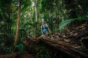 BIB: 
                            <button type="button" onclick="openModal(26425267)" class="btn btn-primary btn-sm float-right btn-popup" data-toggle="modal" data-target=".modal-high-quality">
                        <i class="fas fa-shopping-cart"></i> Add to Cart
                    </button>
                                            <button type="button" onclick="isThisMe(26425267, true)" class="btn btn-success btn-sm float-right btn-popup btn-isme hidden" data-toggle="tooltip" data-placement="bottom" title="นี่คือรูปของคุณใช่ไหม คลิกที่นี่เพื่อเอาเข้าอัลบั้ม">
                        <i class="fas fa-plus"></i> Add to album
                    </button>
                    <button type="button" onclick="isThisMe(26425267, false)" class="btn btn-warning btn-sm float-right btn-popup btn-isnotme hidden">
                        <i class="fas fa-ban"></i> Remove from album
                    </button>