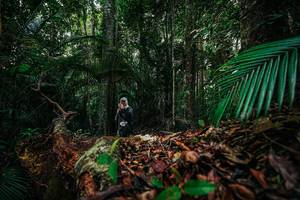 BIB: 
                            <button type="button" onclick="openModal(26428668)" class="btn btn-primary btn-sm float-right btn-popup" data-toggle="modal" data-target=".modal-high-quality">
                        <i class="fas fa-shopping-cart"></i> Add to Cart
                    </button>
                                            <button type="button" onclick="isThisMe(26428668, true)" class="btn btn-success btn-sm float-right btn-popup btn-isme hidden" data-toggle="tooltip" data-placement="bottom" title="นี่คือรูปของคุณใช่ไหม คลิกที่นี่เพื่อเอาเข้าอัลบั้ม">
                        <i class="fas fa-plus"></i> Add to album
                    </button>
                    <button type="button" onclick="isThisMe(26428668, false)" class="btn btn-warning btn-sm float-right btn-popup btn-isnotme hidden">
                        <i class="fas fa-ban"></i> Remove from album
                    </button>