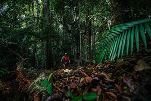 BIB: 
                            <button type="button" onclick="openModal(26428570)" class="btn btn-primary btn-sm float-right btn-popup" data-toggle="modal" data-target=".modal-high-quality">
                        <i class="fas fa-shopping-cart"></i> Add to Cart
                    </button>
                                            <button type="button" onclick="isThisMe(26428570, true)" class="btn btn-success btn-sm float-right btn-popup btn-isme hidden" data-toggle="tooltip" data-placement="bottom" title="นี่คือรูปของคุณใช่ไหม คลิกที่นี่เพื่อเอาเข้าอัลบั้ม">
                        <i class="fas fa-plus"></i> Add to album
                    </button>
                    <button type="button" onclick="isThisMe(26428570, false)" class="btn btn-warning btn-sm float-right btn-popup btn-isnotme hidden">
                        <i class="fas fa-ban"></i> Remove from album
                    </button>