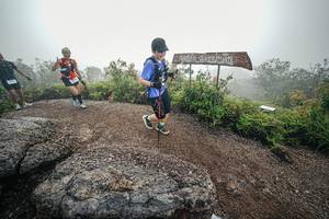 BIB: 
                            <button type="button" onclick="openModal(26420131)" class="btn btn-primary btn-sm float-right btn-popup" data-toggle="modal" data-target=".modal-high-quality">
                        <i class="fas fa-shopping-cart"></i> Add to Cart
                    </button>
                                            <button type="button" onclick="isThisMe(26420131, true)" class="btn btn-success btn-sm float-right btn-popup btn-isme hidden" data-toggle="tooltip" data-placement="bottom" title="นี่คือรูปของคุณใช่ไหม คลิกที่นี่เพื่อเอาเข้าอัลบั้ม">
                        <i class="fas fa-plus"></i> Add to album
                    </button>
                    <button type="button" onclick="isThisMe(26420131, false)" class="btn btn-warning btn-sm float-right btn-popup btn-isnotme hidden">
                        <i class="fas fa-ban"></i> Remove from album
                    </button>