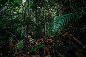 BIB: 
                            <button type="button" onclick="openModal(26431848)" class="btn btn-primary btn-sm float-right btn-popup" data-toggle="modal" data-target=".modal-high-quality">
                        <i class="fas fa-shopping-cart"></i> Add to Cart
                    </button>
                                            <button type="button" onclick="isThisMe(26431848, true)" class="btn btn-success btn-sm float-right btn-popup btn-isme hidden" data-toggle="tooltip" data-placement="bottom" title="นี่คือรูปของคุณใช่ไหม คลิกที่นี่เพื่อเอาเข้าอัลบั้ม">
                        <i class="fas fa-plus"></i> Add to album
                    </button>
                    <button type="button" onclick="isThisMe(26431848, false)" class="btn btn-warning btn-sm float-right btn-popup btn-isnotme hidden">
                        <i class="fas fa-ban"></i> Remove from album
                    </button>