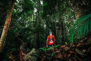 BIB: 
                            <button type="button" onclick="openModal(26423828)" class="btn btn-primary btn-sm float-right btn-popup" data-toggle="modal" data-target=".modal-high-quality">
                        <i class="fas fa-shopping-cart"></i> Add to Cart
                    </button>
                                            <button type="button" onclick="isThisMe(26423828, true)" class="btn btn-success btn-sm float-right btn-popup btn-isme hidden" data-toggle="tooltip" data-placement="bottom" title="นี่คือรูปของคุณใช่ไหม คลิกที่นี่เพื่อเอาเข้าอัลบั้ม">
                        <i class="fas fa-plus"></i> Add to album
                    </button>
                    <button type="button" onclick="isThisMe(26423828, false)" class="btn btn-warning btn-sm float-right btn-popup btn-isnotme hidden">
                        <i class="fas fa-ban"></i> Remove from album
                    </button>