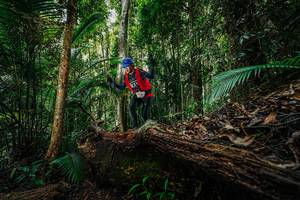 BIB: 
                            <button type="button" onclick="openModal(26425826)" class="btn btn-primary btn-sm float-right btn-popup" data-toggle="modal" data-target=".modal-high-quality">
                        <i class="fas fa-shopping-cart"></i> Add to Cart
                    </button>
                                            <button type="button" onclick="isThisMe(26425826, true)" class="btn btn-success btn-sm float-right btn-popup btn-isme hidden" data-toggle="tooltip" data-placement="bottom" title="นี่คือรูปของคุณใช่ไหม คลิกที่นี่เพื่อเอาเข้าอัลบั้ม">
                        <i class="fas fa-plus"></i> Add to album
                    </button>
                    <button type="button" onclick="isThisMe(26425826, false)" class="btn btn-warning btn-sm float-right btn-popup btn-isnotme hidden">
                        <i class="fas fa-ban"></i> Remove from album
                    </button>