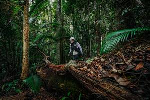 BIB: 
                            <button type="button" onclick="openModal(26426569)" class="btn btn-primary btn-sm float-right btn-popup" data-toggle="modal" data-target=".modal-high-quality">
                        <i class="fas fa-shopping-cart"></i> Add to Cart
                    </button>
                                            <button type="button" onclick="isThisMe(26426569, true)" class="btn btn-success btn-sm float-right btn-popup btn-isme hidden" data-toggle="tooltip" data-placement="bottom" title="นี่คือรูปของคุณใช่ไหม คลิกที่นี่เพื่อเอาเข้าอัลบั้ม">
                        <i class="fas fa-plus"></i> Add to album
                    </button>
                    <button type="button" onclick="isThisMe(26426569, false)" class="btn btn-warning btn-sm float-right btn-popup btn-isnotme hidden">
                        <i class="fas fa-ban"></i> Remove from album
                    </button>