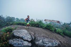 BIB: 
                            <button type="button" onclick="openModal(26416833)" class="btn btn-primary btn-sm float-right btn-popup" data-toggle="modal" data-target=".modal-high-quality">
                        <i class="fas fa-shopping-cart"></i> Add to Cart
                    </button>
                                            <button type="button" onclick="isThisMe(26416833, true)" class="btn btn-success btn-sm float-right btn-popup btn-isme hidden" data-toggle="tooltip" data-placement="bottom" title="นี่คือรูปของคุณใช่ไหม คลิกที่นี่เพื่อเอาเข้าอัลบั้ม">
                        <i class="fas fa-plus"></i> Add to album
                    </button>
                    <button type="button" onclick="isThisMe(26416833, false)" class="btn btn-warning btn-sm float-right btn-popup btn-isnotme hidden">
                        <i class="fas fa-ban"></i> Remove from album
                    </button>