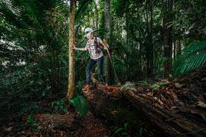 BIB: 
                            <button type="button" onclick="openModal(26426376)" class="btn btn-primary btn-sm float-right btn-popup" data-toggle="modal" data-target=".modal-high-quality">
                        <i class="fas fa-shopping-cart"></i> Add to Cart
                    </button>
                                            <button type="button" onclick="isThisMe(26426376, true)" class="btn btn-success btn-sm float-right btn-popup btn-isme hidden" data-toggle="tooltip" data-placement="bottom" title="นี่คือรูปของคุณใช่ไหม คลิกที่นี่เพื่อเอาเข้าอัลบั้ม">
                        <i class="fas fa-plus"></i> Add to album
                    </button>
                    <button type="button" onclick="isThisMe(26426376, false)" class="btn btn-warning btn-sm float-right btn-popup btn-isnotme hidden">
                        <i class="fas fa-ban"></i> Remove from album
                    </button>