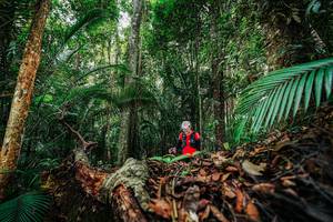 BIB: 
                            <button type="button" onclick="openModal(26423139)" class="btn btn-primary btn-sm float-right btn-popup" data-toggle="modal" data-target=".modal-high-quality">
                        <i class="fas fa-shopping-cart"></i> Add to Cart
                    </button>
                                            <button type="button" onclick="isThisMe(26423139, true)" class="btn btn-success btn-sm float-right btn-popup btn-isme hidden" data-toggle="tooltip" data-placement="bottom" title="นี่คือรูปของคุณใช่ไหม คลิกที่นี่เพื่อเอาเข้าอัลบั้ม">
                        <i class="fas fa-plus"></i> Add to album
                    </button>
                    <button type="button" onclick="isThisMe(26423139, false)" class="btn btn-warning btn-sm float-right btn-popup btn-isnotme hidden">
                        <i class="fas fa-ban"></i> Remove from album
                    </button>