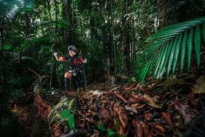 BIB: 
                            <button type="button" onclick="openModal(26429485)" class="btn btn-primary btn-sm float-right btn-popup" data-toggle="modal" data-target=".modal-high-quality">
                        <i class="fas fa-shopping-cart"></i> Add to Cart
                    </button>
                                            <button type="button" onclick="isThisMe(26429485, true)" class="btn btn-success btn-sm float-right btn-popup btn-isme hidden" data-toggle="tooltip" data-placement="bottom" title="นี่คือรูปของคุณใช่ไหม คลิกที่นี่เพื่อเอาเข้าอัลบั้ม">
                        <i class="fas fa-plus"></i> Add to album
                    </button>
                    <button type="button" onclick="isThisMe(26429485, false)" class="btn btn-warning btn-sm float-right btn-popup btn-isnotme hidden">
                        <i class="fas fa-ban"></i> Remove from album
                    </button>