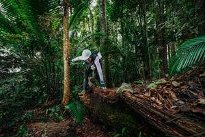 BIB: 
                            <button type="button" onclick="openModal(26426581)" class="btn btn-primary btn-sm float-right btn-popup" data-toggle="modal" data-target=".modal-high-quality">
                        <i class="fas fa-shopping-cart"></i> Add to Cart
                    </button>
                                            <button type="button" onclick="isThisMe(26426581, true)" class="btn btn-success btn-sm float-right btn-popup btn-isme hidden" data-toggle="tooltip" data-placement="bottom" title="นี่คือรูปของคุณใช่ไหม คลิกที่นี่เพื่อเอาเข้าอัลบั้ม">
                        <i class="fas fa-plus"></i> Add to album
                    </button>
                    <button type="button" onclick="isThisMe(26426581, false)" class="btn btn-warning btn-sm float-right btn-popup btn-isnotme hidden">
                        <i class="fas fa-ban"></i> Remove from album
                    </button>