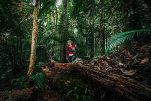 BIB: 
                            <button type="button" onclick="openModal(26426200)" class="btn btn-primary btn-sm float-right btn-popup" data-toggle="modal" data-target=".modal-high-quality">
                        <i class="fas fa-shopping-cart"></i> Add to Cart
                    </button>
                                            <button type="button" onclick="isThisMe(26426200, true)" class="btn btn-success btn-sm float-right btn-popup btn-isme hidden" data-toggle="tooltip" data-placement="bottom" title="นี่คือรูปของคุณใช่ไหม คลิกที่นี่เพื่อเอาเข้าอัลบั้ม">
                        <i class="fas fa-plus"></i> Add to album
                    </button>
                    <button type="button" onclick="isThisMe(26426200, false)" class="btn btn-warning btn-sm float-right btn-popup btn-isnotme hidden">
                        <i class="fas fa-ban"></i> Remove from album
                    </button>