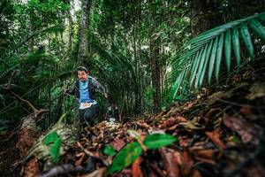 BIB: 
                            <button type="button" onclick="openModal(26430275)" class="btn btn-primary btn-sm float-right btn-popup" data-toggle="modal" data-target=".modal-high-quality">
                        <i class="fas fa-shopping-cart"></i> Add to Cart
                    </button>
                                            <button type="button" onclick="isThisMe(26430275, true)" class="btn btn-success btn-sm float-right btn-popup btn-isme hidden" data-toggle="tooltip" data-placement="bottom" title="นี่คือรูปของคุณใช่ไหม คลิกที่นี่เพื่อเอาเข้าอัลบั้ม">
                        <i class="fas fa-plus"></i> Add to album
                    </button>
                    <button type="button" onclick="isThisMe(26430275, false)" class="btn btn-warning btn-sm float-right btn-popup btn-isnotme hidden">
                        <i class="fas fa-ban"></i> Remove from album
                    </button>