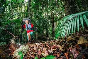 BIB: 
                            <button type="button" onclick="openModal(26429799)" class="btn btn-primary btn-sm float-right btn-popup" data-toggle="modal" data-target=".modal-high-quality">
                        <i class="fas fa-shopping-cart"></i> Add to Cart
                    </button>
                                            <button type="button" onclick="isThisMe(26429799, true)" class="btn btn-success btn-sm float-right btn-popup btn-isme hidden" data-toggle="tooltip" data-placement="bottom" title="นี่คือรูปของคุณใช่ไหม คลิกที่นี่เพื่อเอาเข้าอัลบั้ม">
                        <i class="fas fa-plus"></i> Add to album
                    </button>
                    <button type="button" onclick="isThisMe(26429799, false)" class="btn btn-warning btn-sm float-right btn-popup btn-isnotme hidden">
                        <i class="fas fa-ban"></i> Remove from album
                    </button>