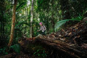 BIB: 
                            <button type="button" onclick="openModal(26425638)" class="btn btn-primary btn-sm float-right btn-popup" data-toggle="modal" data-target=".modal-high-quality">
                        <i class="fas fa-shopping-cart"></i> Add to Cart
                    </button>
                                            <button type="button" onclick="isThisMe(26425638, true)" class="btn btn-success btn-sm float-right btn-popup btn-isme hidden" data-toggle="tooltip" data-placement="bottom" title="นี่คือรูปของคุณใช่ไหม คลิกที่นี่เพื่อเอาเข้าอัลบั้ม">
                        <i class="fas fa-plus"></i> Add to album
                    </button>
                    <button type="button" onclick="isThisMe(26425638, false)" class="btn btn-warning btn-sm float-right btn-popup btn-isnotme hidden">
                        <i class="fas fa-ban"></i> Remove from album
                    </button>