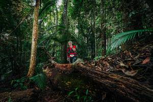 BIB: 
                            <button type="button" onclick="openModal(26426199)" class="btn btn-primary btn-sm float-right btn-popup" data-toggle="modal" data-target=".modal-high-quality">
                        <i class="fas fa-shopping-cart"></i> Add to Cart
                    </button>
                                            <button type="button" onclick="isThisMe(26426199, true)" class="btn btn-success btn-sm float-right btn-popup btn-isme hidden" data-toggle="tooltip" data-placement="bottom" title="นี่คือรูปของคุณใช่ไหม คลิกที่นี่เพื่อเอาเข้าอัลบั้ม">
                        <i class="fas fa-plus"></i> Add to album
                    </button>
                    <button type="button" onclick="isThisMe(26426199, false)" class="btn btn-warning btn-sm float-right btn-popup btn-isnotme hidden">
                        <i class="fas fa-ban"></i> Remove from album
                    </button>