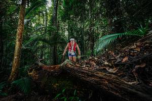 BIB: 
                            <button type="button" onclick="openModal(26425853)" class="btn btn-primary btn-sm float-right btn-popup" data-toggle="modal" data-target=".modal-high-quality">
                        <i class="fas fa-shopping-cart"></i> Add to Cart
                    </button>
                                            <button type="button" onclick="isThisMe(26425853, true)" class="btn btn-success btn-sm float-right btn-popup btn-isme hidden" data-toggle="tooltip" data-placement="bottom" title="นี่คือรูปของคุณใช่ไหม คลิกที่นี่เพื่อเอาเข้าอัลบั้ม">
                        <i class="fas fa-plus"></i> Add to album
                    </button>
                    <button type="button" onclick="isThisMe(26425853, false)" class="btn btn-warning btn-sm float-right btn-popup btn-isnotme hidden">
                        <i class="fas fa-ban"></i> Remove from album
                    </button>