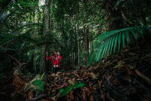 BIB: 
                            <button type="button" onclick="openModal(26431643)" class="btn btn-primary btn-sm float-right btn-popup" data-toggle="modal" data-target=".modal-high-quality">
                        <i class="fas fa-shopping-cart"></i> Add to Cart
                    </button>
                                            <button type="button" onclick="isThisMe(26431643, true)" class="btn btn-success btn-sm float-right btn-popup btn-isme hidden" data-toggle="tooltip" data-placement="bottom" title="นี่คือรูปของคุณใช่ไหม คลิกที่นี่เพื่อเอาเข้าอัลบั้ม">
                        <i class="fas fa-plus"></i> Add to album
                    </button>
                    <button type="button" onclick="isThisMe(26431643, false)" class="btn btn-warning btn-sm float-right btn-popup btn-isnotme hidden">
                        <i class="fas fa-ban"></i> Remove from album
                    </button>