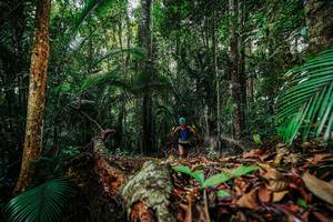 BIB: 
                            <button type="button" onclick="openModal(26422005)" class="btn btn-primary btn-sm float-right btn-popup" data-toggle="modal" data-target=".modal-high-quality">
                        <i class="fas fa-shopping-cart"></i> Add to Cart
                    </button>
                                            <button type="button" onclick="isThisMe(26422005, true)" class="btn btn-success btn-sm float-right btn-popup btn-isme hidden" data-toggle="tooltip" data-placement="bottom" title="นี่คือรูปของคุณใช่ไหม คลิกที่นี่เพื่อเอาเข้าอัลบั้ม">
                        <i class="fas fa-plus"></i> Add to album
                    </button>
                    <button type="button" onclick="isThisMe(26422005, false)" class="btn btn-warning btn-sm float-right btn-popup btn-isnotme hidden">
                        <i class="fas fa-ban"></i> Remove from album
                    </button>