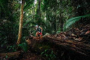 BIB: 
                            <button type="button" onclick="openModal(26425983)" class="btn btn-primary btn-sm float-right btn-popup" data-toggle="modal" data-target=".modal-high-quality">
                        <i class="fas fa-shopping-cart"></i> Add to Cart
                    </button>
                                            <button type="button" onclick="isThisMe(26425983, true)" class="btn btn-success btn-sm float-right btn-popup btn-isme hidden" data-toggle="tooltip" data-placement="bottom" title="นี่คือรูปของคุณใช่ไหม คลิกที่นี่เพื่อเอาเข้าอัลบั้ม">
                        <i class="fas fa-plus"></i> Add to album
                    </button>
                    <button type="button" onclick="isThisMe(26425983, false)" class="btn btn-warning btn-sm float-right btn-popup btn-isnotme hidden">
                        <i class="fas fa-ban"></i> Remove from album
                    </button>